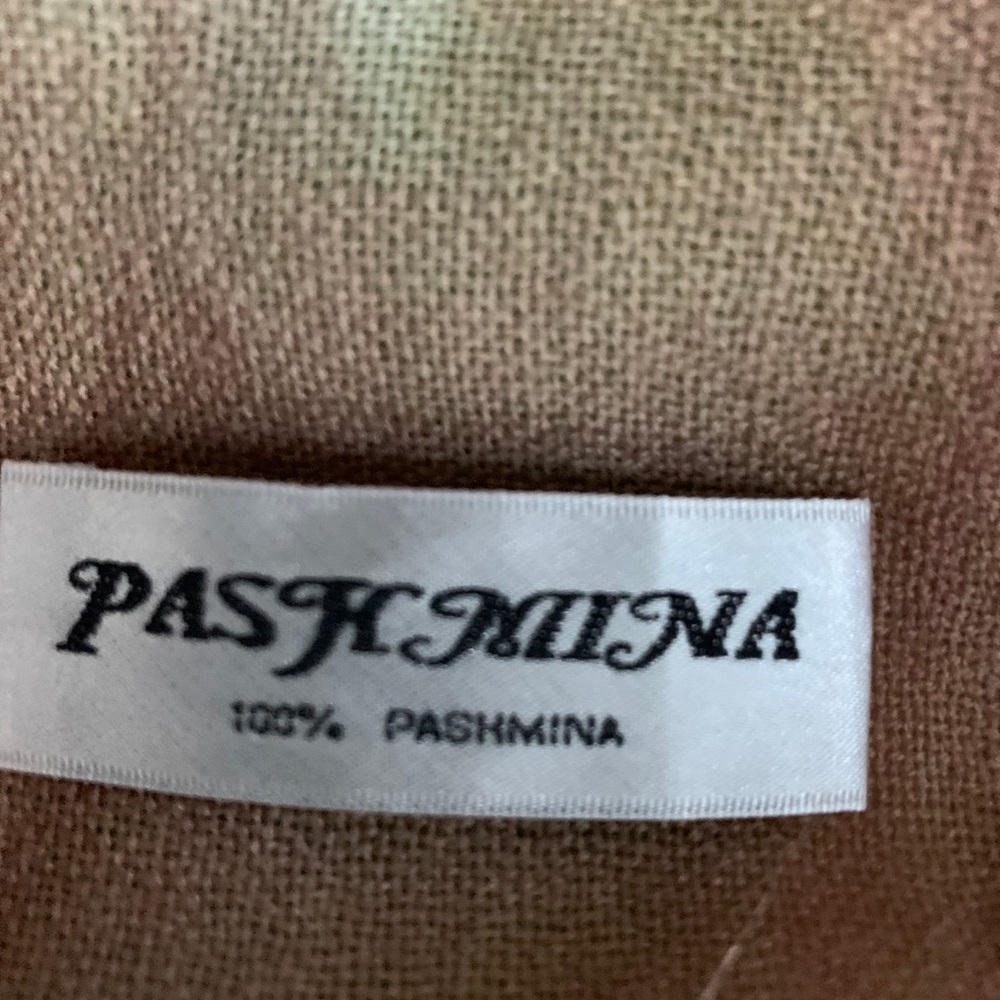 Beautiful Muted Colored Pashmina - image 3